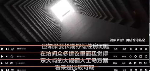 林郑月娥发话了 不要幻想政府出招救市