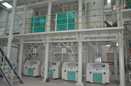 建一个面粉厂要投资多少资金