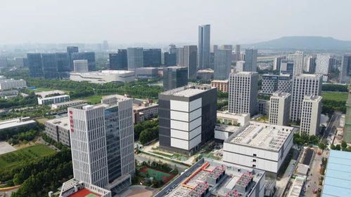 冲刺ipo 东大女学霸,造出南京 准独角兽 ,年入超10亿