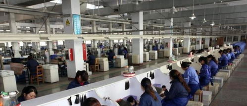 5年资产翻2000倍,湖南益阳富豪倪福林,自建宫殿与10名情人共住