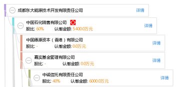 成都东大能源技术开发有限责任公司