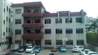 东莞市农村社区集体资产管理网与东大资产办公楼探析