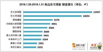 春节气息加重，沈阳住宅市场进入“休眠期”——以东大资产为例