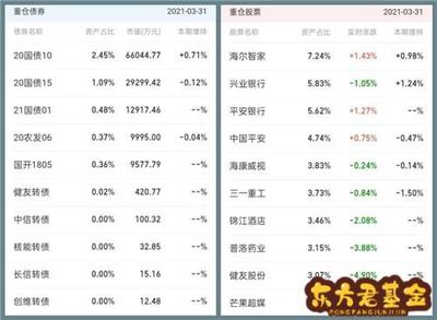 兴全合润混合基金投资板块与配置比例深度解析